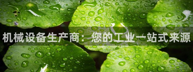 九游会怎么提款