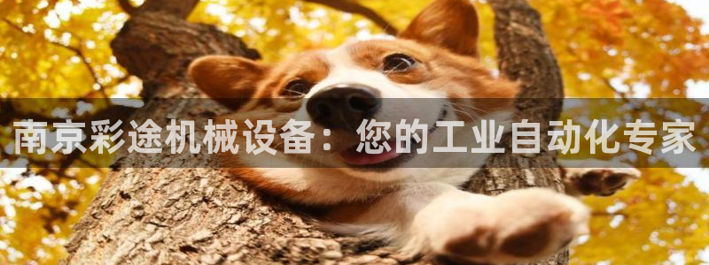 J9九游会老哥俱乐部官方