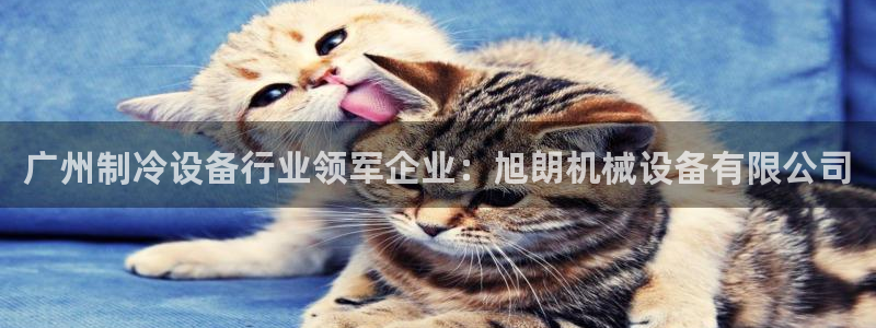 九游会是真的吗