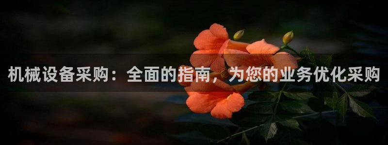 九游会官网真人