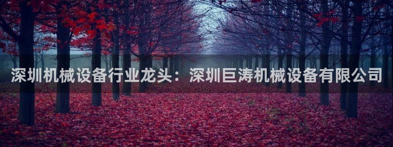 九游会ag真人官网