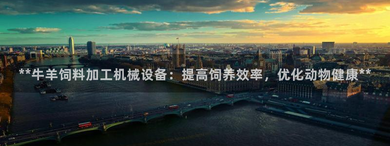 ag九游会集团