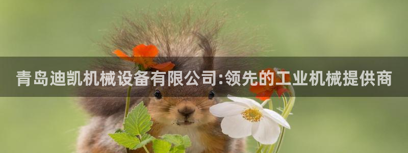 九游会官方正版下载