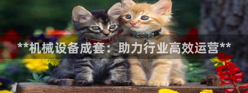 九游会官网ag