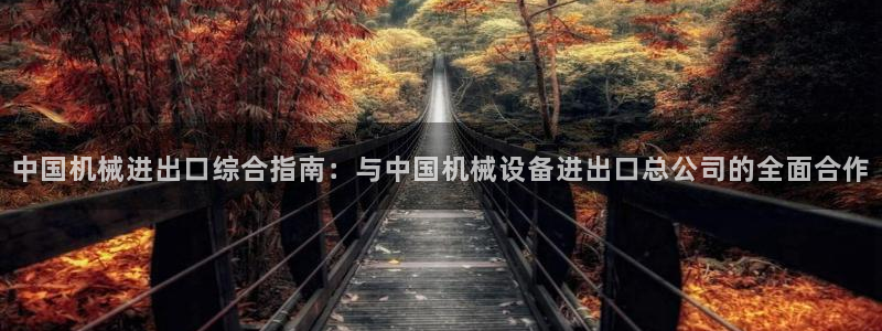 九游会最新线路