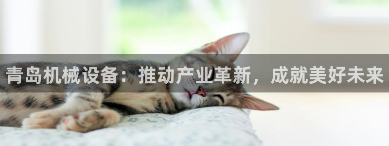 j9九游会登陆入口