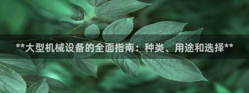 九游会官网真人