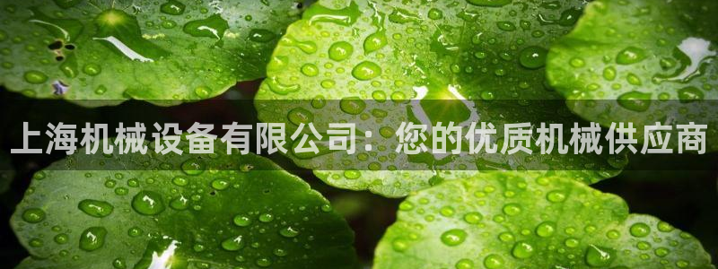 九游会网址是什么情况