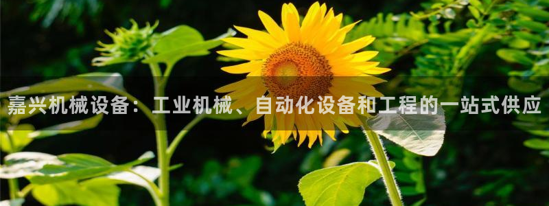 九游会登录网址