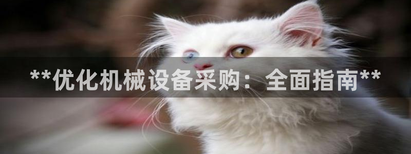 J9九游会老网站