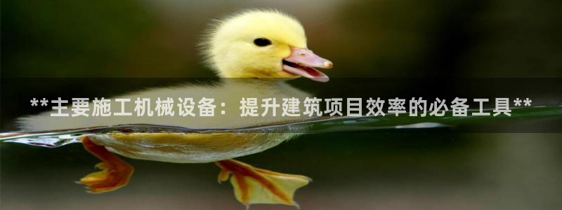 九游会是大平台吗