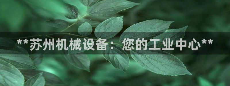 九游会 ag