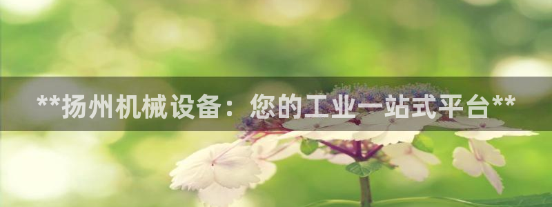 j9九游会老哥俱乐部介绍
