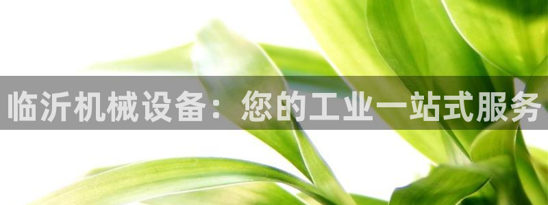 J9九游会旧版