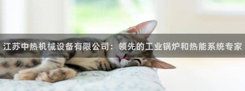 J9九游会集团