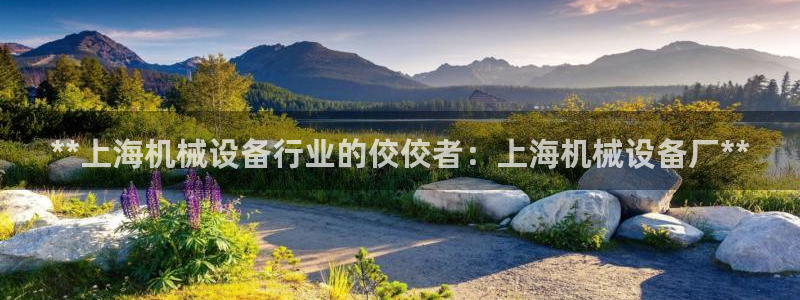 九游会官网贴吧