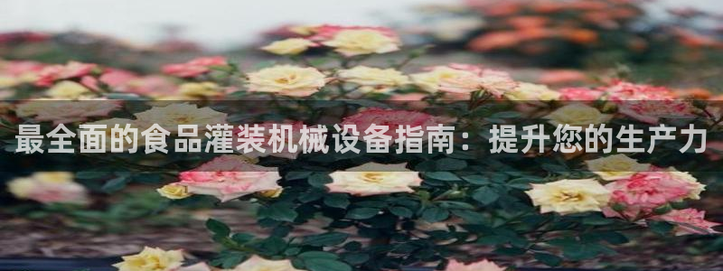 九游会app官方下载安装