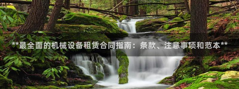 九游会平台app
