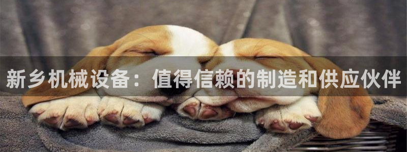 九游会官网下载不了吗