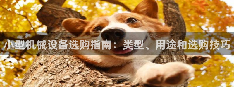 九游会官网贴吧