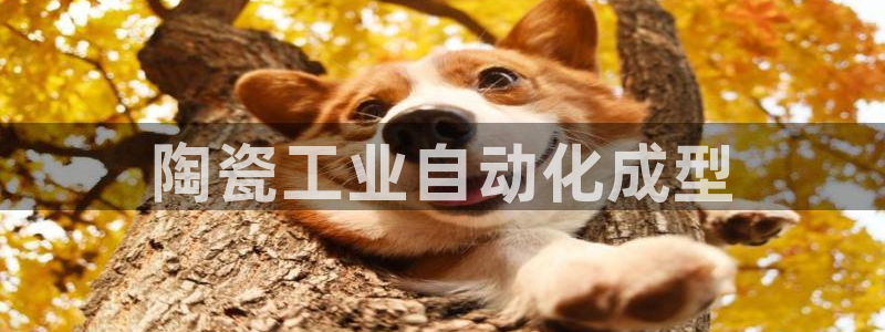 九游j9登陆