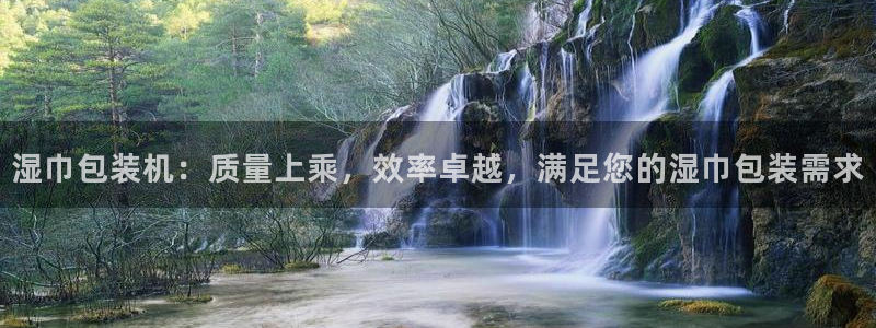 九游会ag真人官网