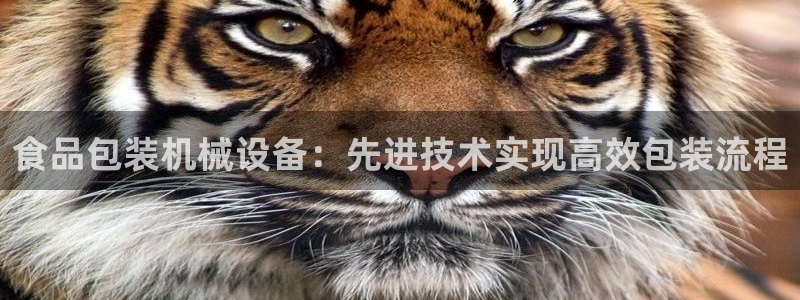 九游会网址是多少