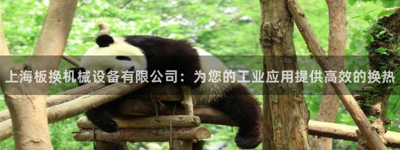 九游会官网网址是多少
