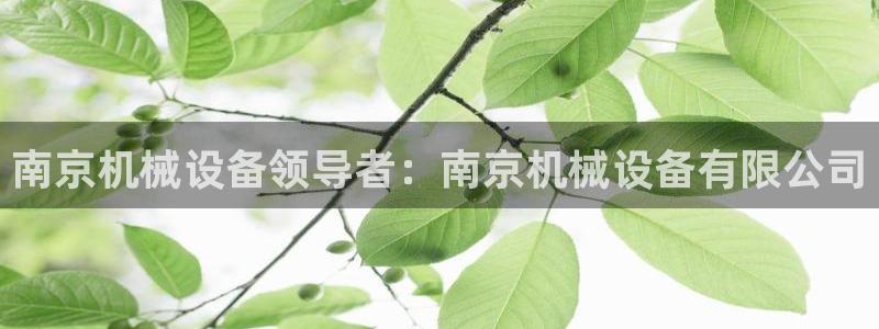 九游会手机登陆