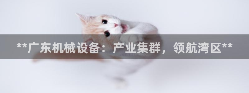 九游会视讯,九游会视讯官网