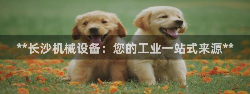 9游会旗舰