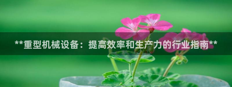 九游会平台怎么样