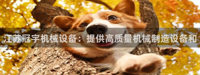 九游会app下载版官网正版手游