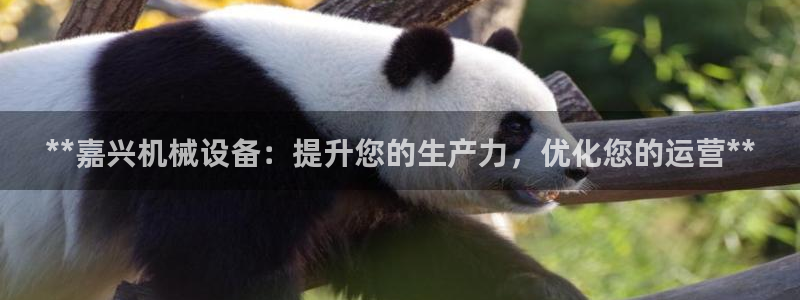 j9九游会导航