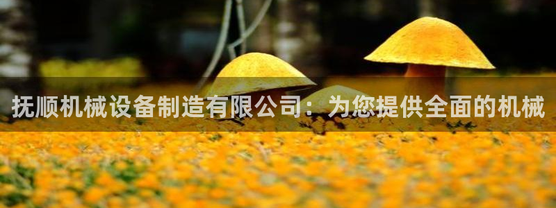 九游会视讯,九游会视讯厅