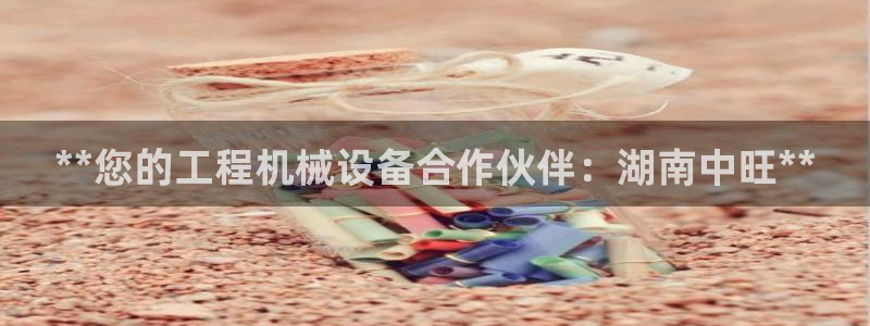 ag九游会j9