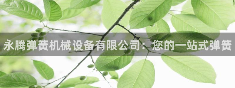 九游j9官网
