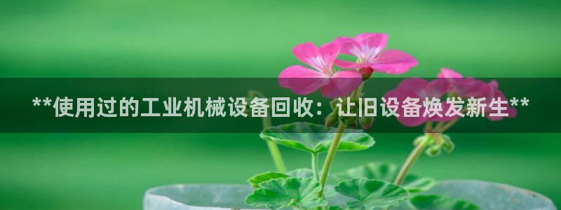 ag九游会官网网址