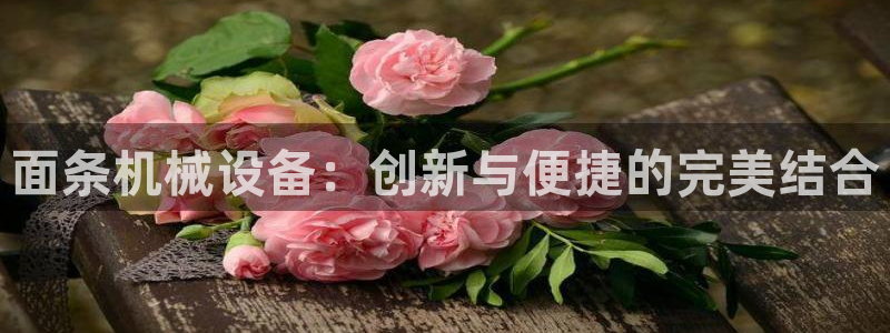 九游会平台ag