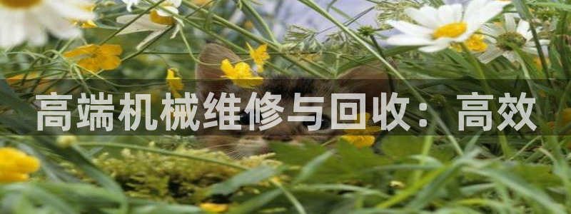 九游会老哥俱乐部必备的交流社区