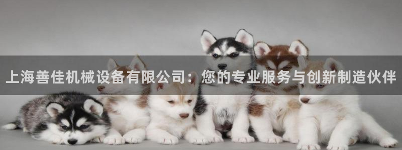 九游会是大平台吗