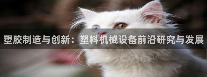 j9九游会安卓版下载