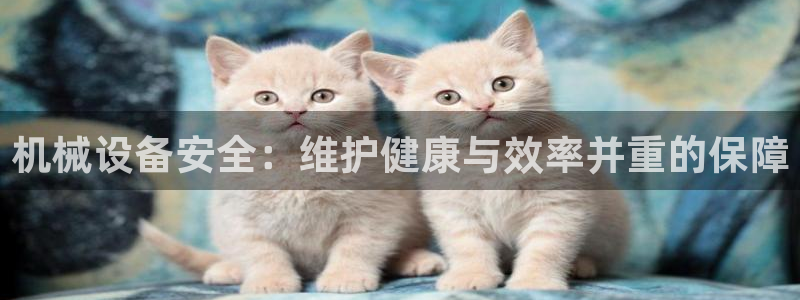 ag九游会老哥