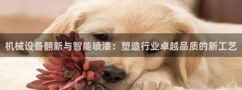 九游会老哥俱乐部