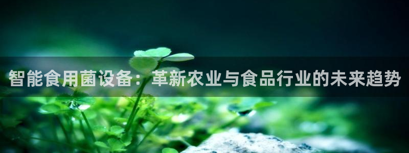 九游会游戏平台