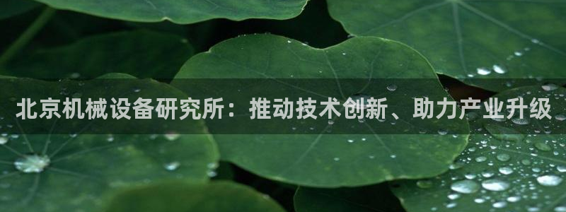9游会旗舰