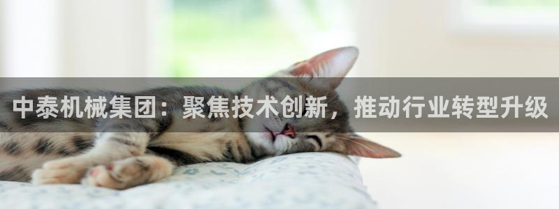 九游会集团菲律宾