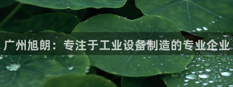 九游会官方旗舰店