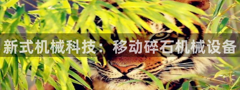 九游会ag真人官网|九游真人