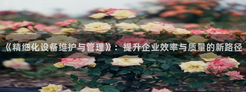 J9九游会官网app